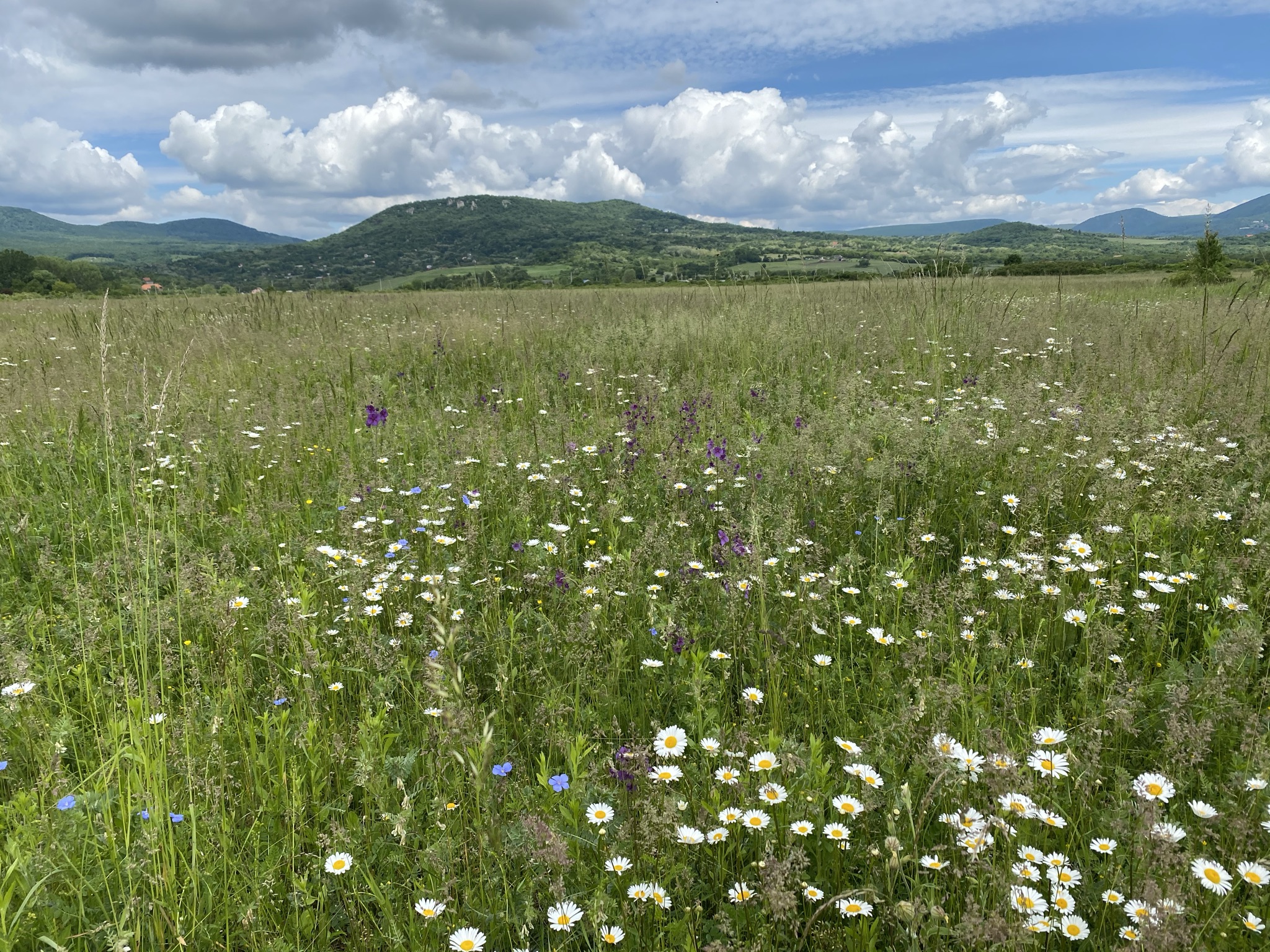 Hegyvidéki panorámák